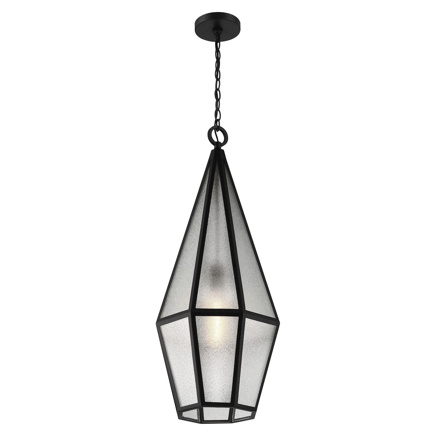 Peninsula 1-Light Outdoor Hanging Lantern