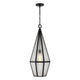 Peninsula 1-Light Outdoor Hanging Lantern