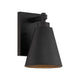 Ryder 1-Light Outdoor Wall Lantern