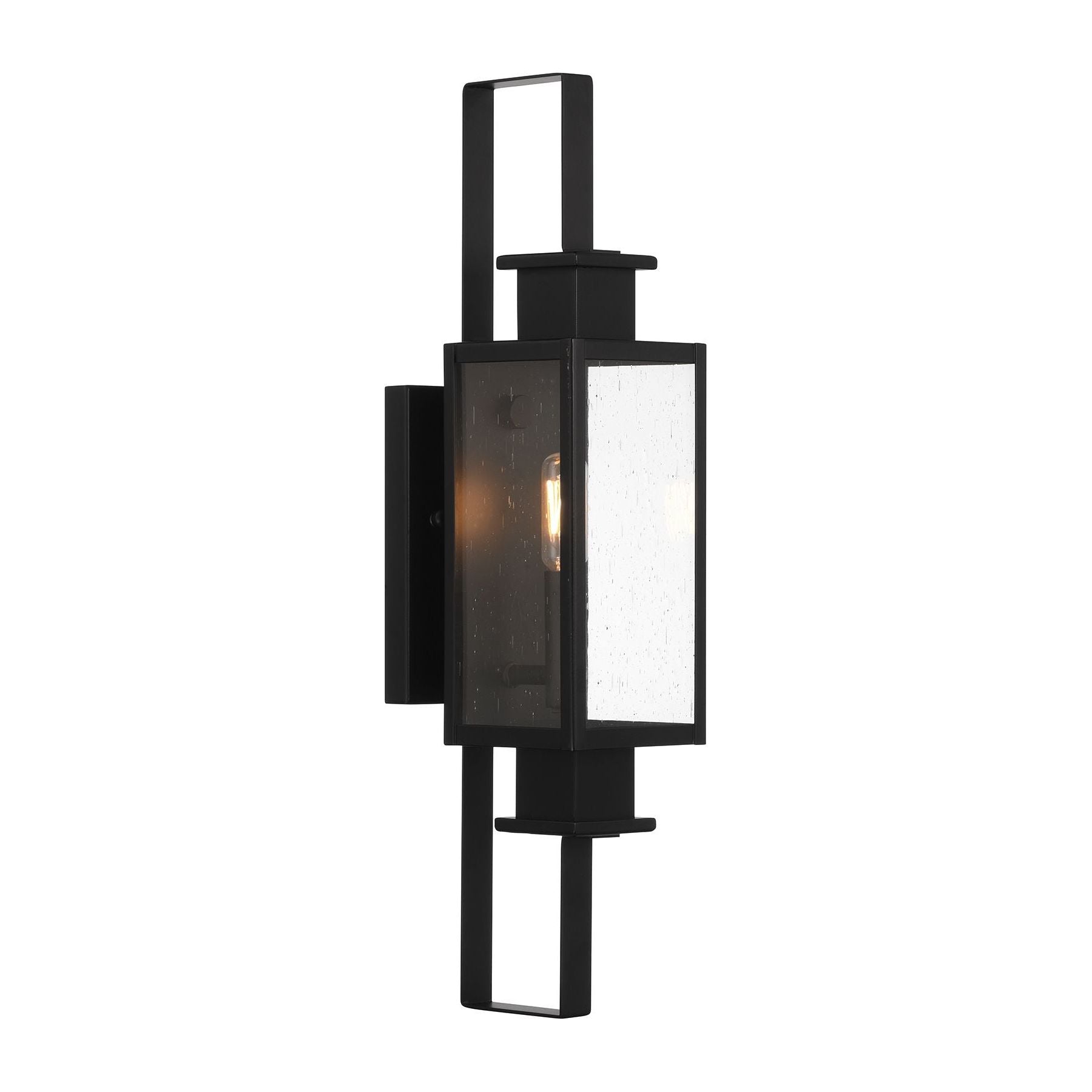 Ascott 1-Light Outdoor Wall Lantern