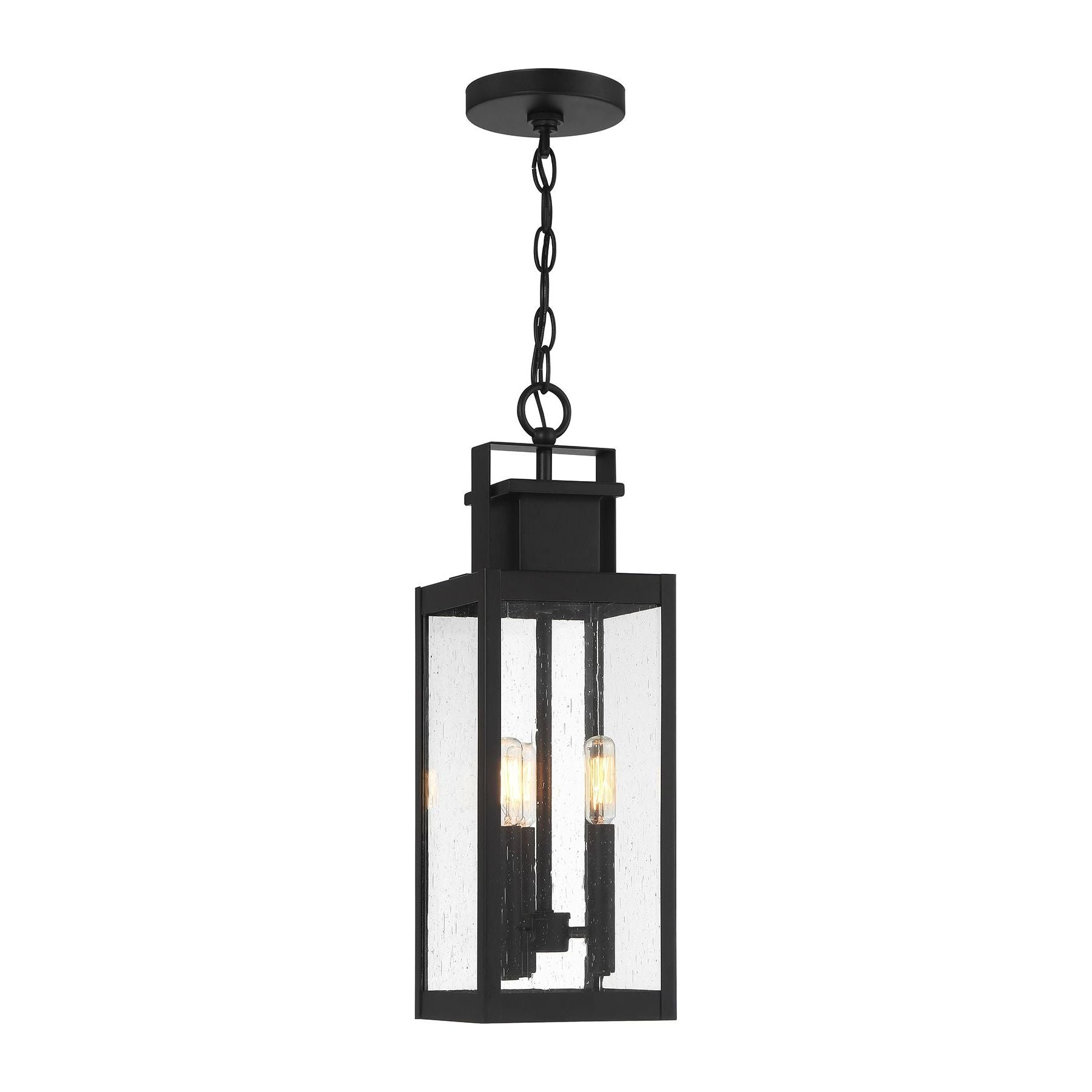 Ascott 3-Light Outdoor Hanging Lantern