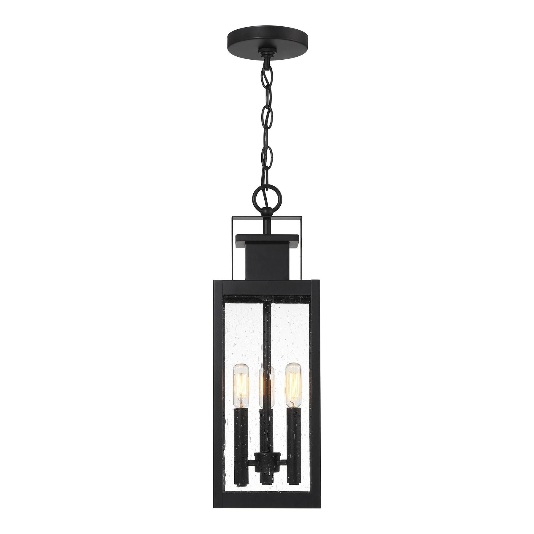 Ascott 3-Light Outdoor Hanging Lantern