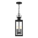 Ascott 3-Light Outdoor Hanging Lantern