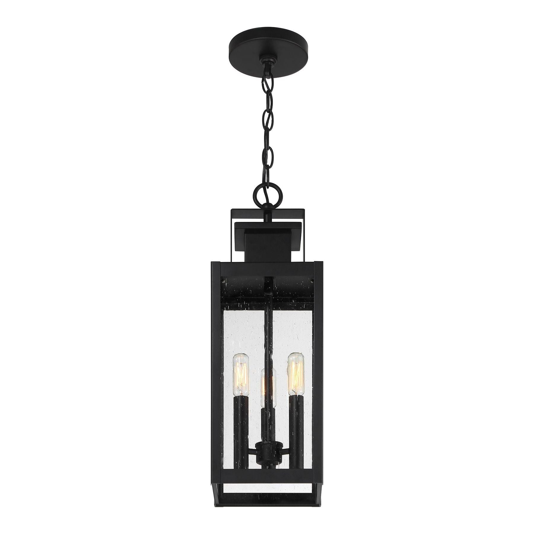 Ascott 3-Light Outdoor Hanging Lantern