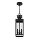 Ascott 3-Light Outdoor Hanging Lantern