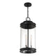 Englewood 3-Light Outdoor Hanging Lantern