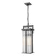Fortis 2-Light Outdoor Chain Mount Ceiling Fixture