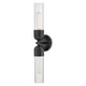Soren 2-Light Large Sconce