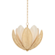 513-24-VGL