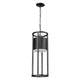 Luca 1-Light Outdoor Pendant