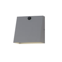 Pathfinder LED Outdoor Wall Sconce