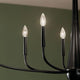 Kichler - Deela 41" 8-Light Oval Chandelier - Lights Canada