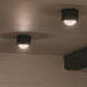 Kichler - Tibbi 5.5" 1-Light LED Flush Mount - Lights Canada