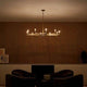 Erzo 48" 10-Light Chandelier