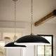 Delarosa 20" 1-Light Pendant