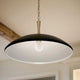 Delarosa 20" 1-Light Pendant