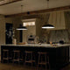 Delarosa 20" 1-Light Pendant