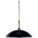 Delarosa 20" 1-Light Pendant