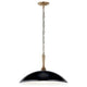 Delarosa 20" 1-Light Pendant