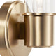 Aviv 13" 1-Light Wall Sconce