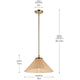 Bekah 18" 1-Light Convertible Pendant