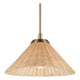 Bekah 18" 1-Light Convertible Pendant