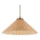 Bekah 24.25" 1-Light Convertible Pendant