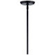 Cassius 52.5" 8-Light Convertible Chandelier