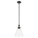 Laria 10.5" 1-Light Pendant