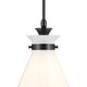 Laria 16" 1-Light Pendant