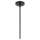 Laria 9.75" 1-Light Pendant