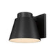 Asher 1-Light Outdoor Wall Light