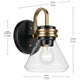 Farum 9.5" 1-Light Wall Sconce