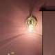 Farum 9.5" 1-Light Wall Sconce