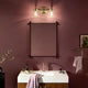 Farum 19.25" 2-Light Vanity Light