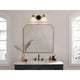 Farum 19.25" 2-Light Vanity Light