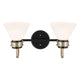 Farum 19.25" 2-Light Vanity Light