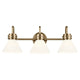 Farum 26" 3-Light Vanity Light