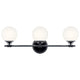 Benno 24.5" 3-Light Vanity Light