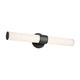 Sashi 24.25" Medium LED Bath Bar