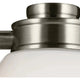 Shae 8.25" 1-Light Wall Sconce