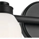 Shae 15" 2-Light Vanity Light