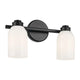 Shae 15" 2-Light Vanity Light