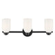 Shae 24.25" 3-Light Vanity Light