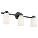 Shae 24.25" 3-Light Vanity Light