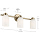 Shae 24.25" 3-Light Vanity Light