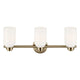 Shae 24.25" 3-Light Vanity Light