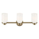 Shae 24.25" 3-Light Vanity Light