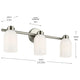 Shae 24.25" 3-Light Vanity Light
