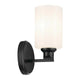 Gioe 9.5" 1-Light Wall Sconce
